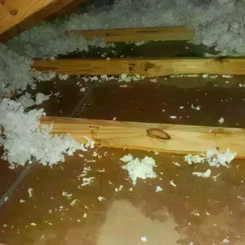 Attic Water Damage in Greensboro, GA