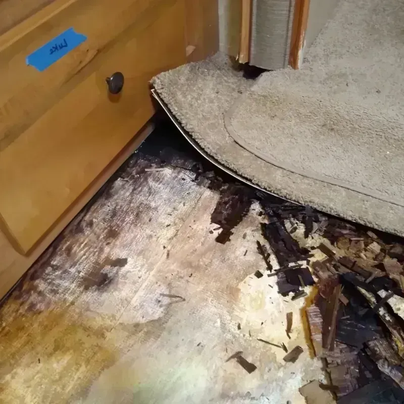 Best Wood Floor Water Damage Service in Greensboro, GA